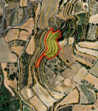 land for sale lemona paphos 8972481 image 17893813