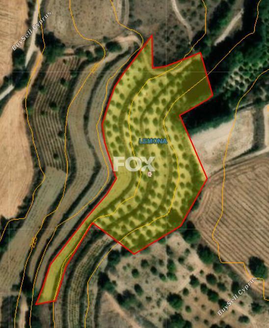 land for sale lemona paphos 8972481 image 17893815