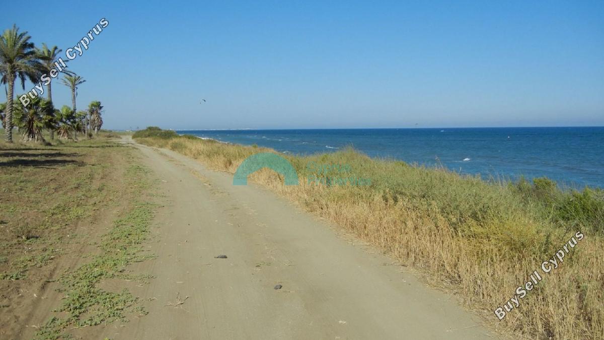 land for sale mazotos larnaca 841481 image 6535313
