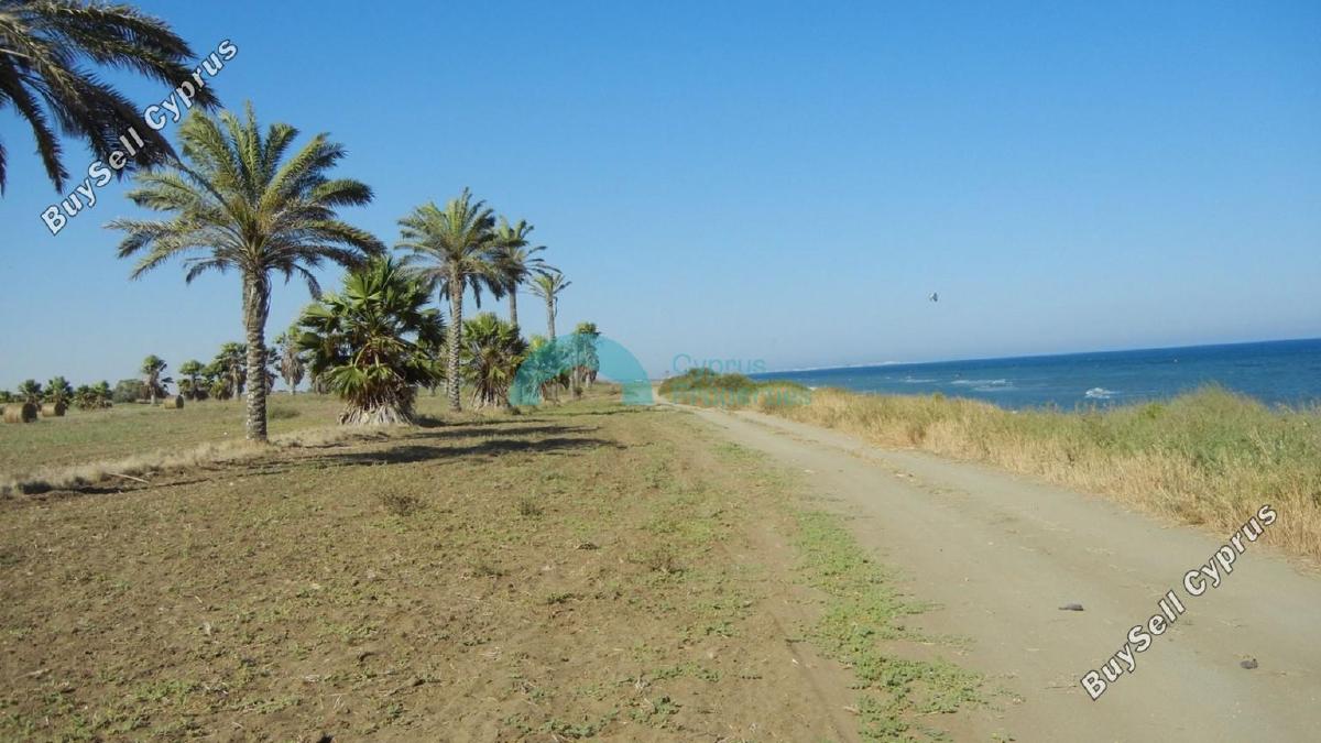 land for sale mazotos larnaca 841481 image 6535316