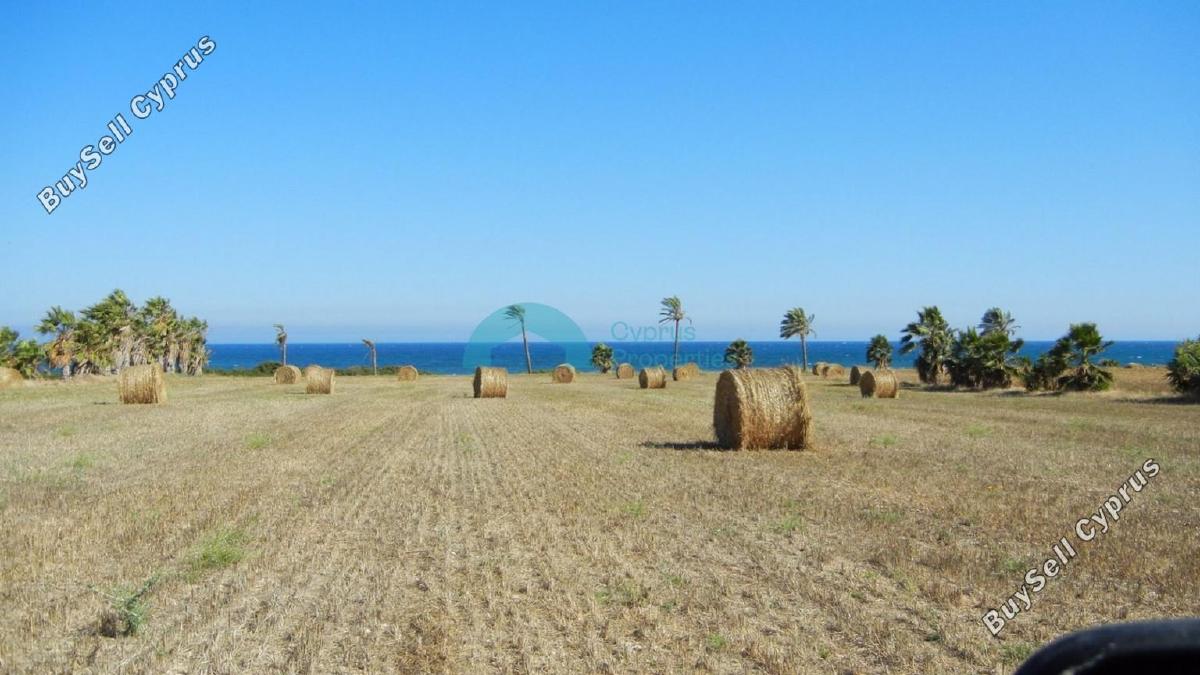 land for sale mazotos larnaca 841481 image 6535318