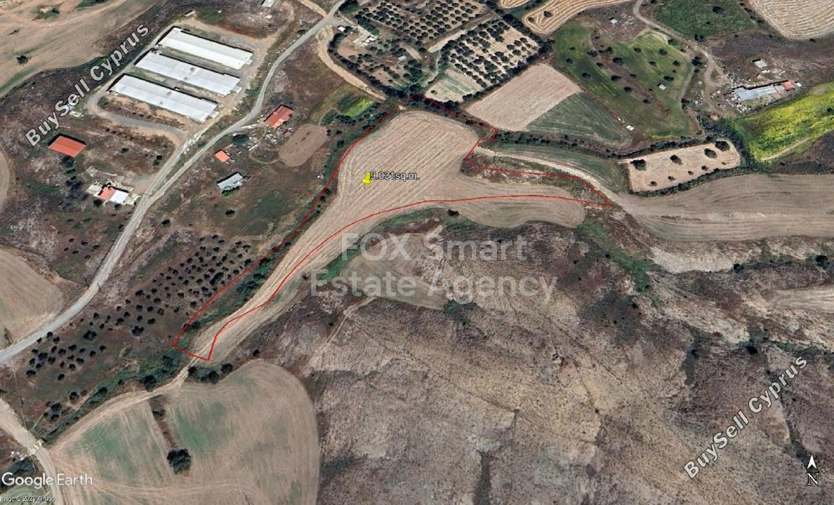 land for sale psevdas larnaca 1150481 image 5750370