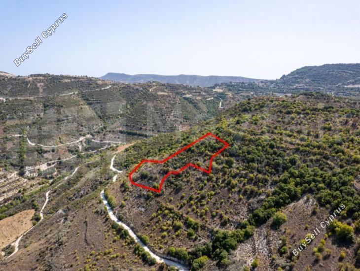 plot for sale dora limassol 7871481 image 11381421