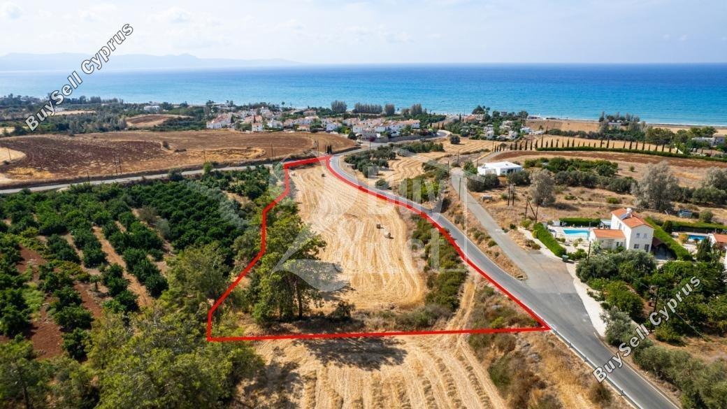 plot off market argaka paphos 1444481 image 9682879