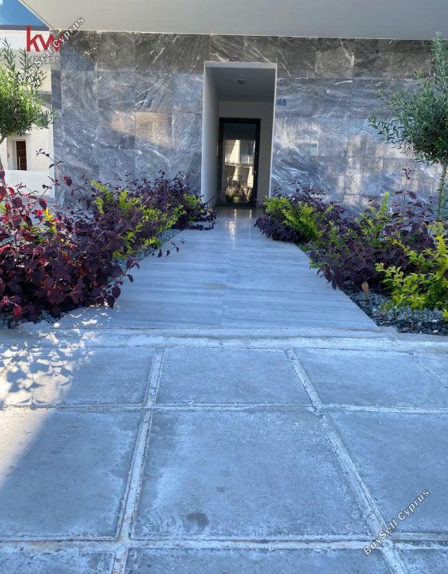 2 bedroom apartment for rent chrysopolitissa larnaca 8106581 image 16145975