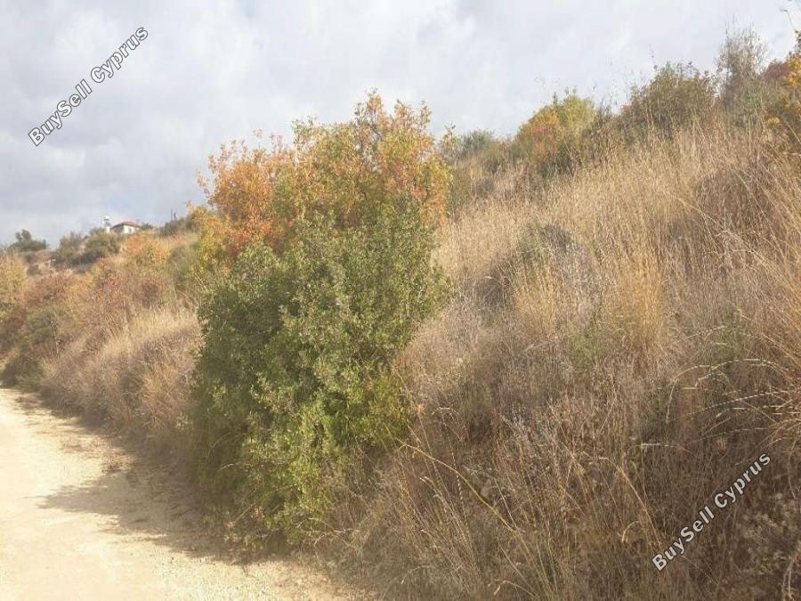 land for sale agios ambrosios limassol 8630581 image 16656764
