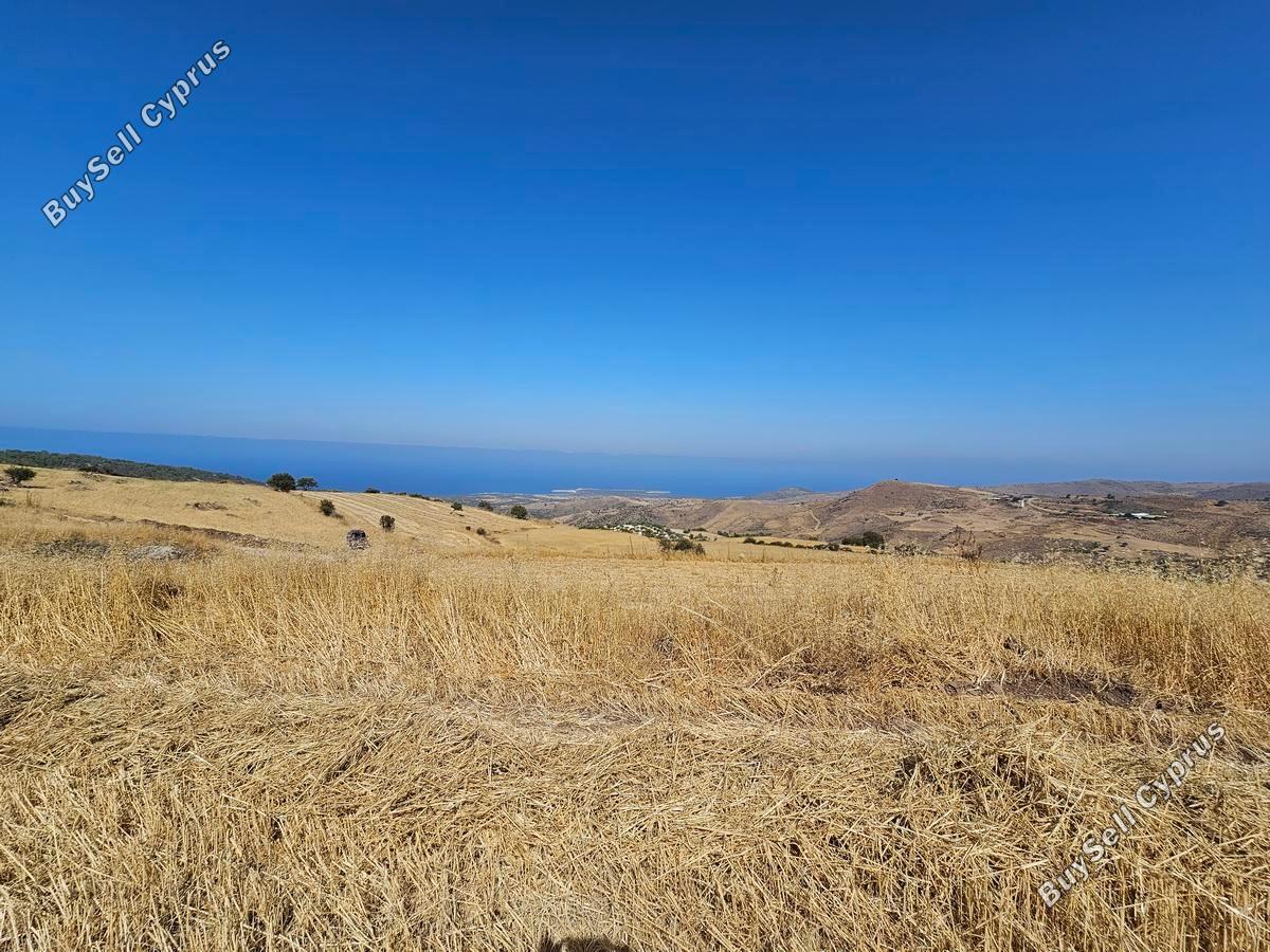 land for sale ineia paphos 1869581 image 6906757