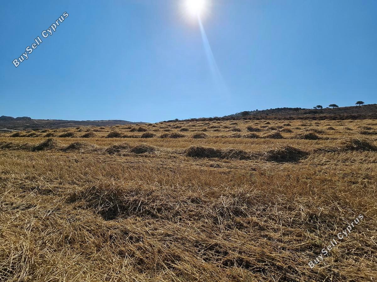 land for sale ineia paphos 1869581 image 6906758