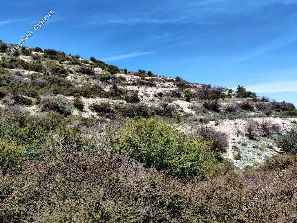 land for sale koilani limassol 826581 image 15603337