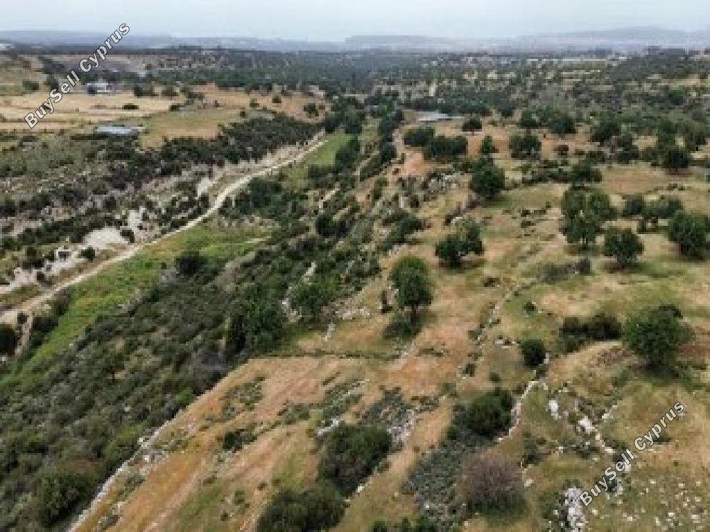 land for sale pachna limassol 7703581 image 15596462