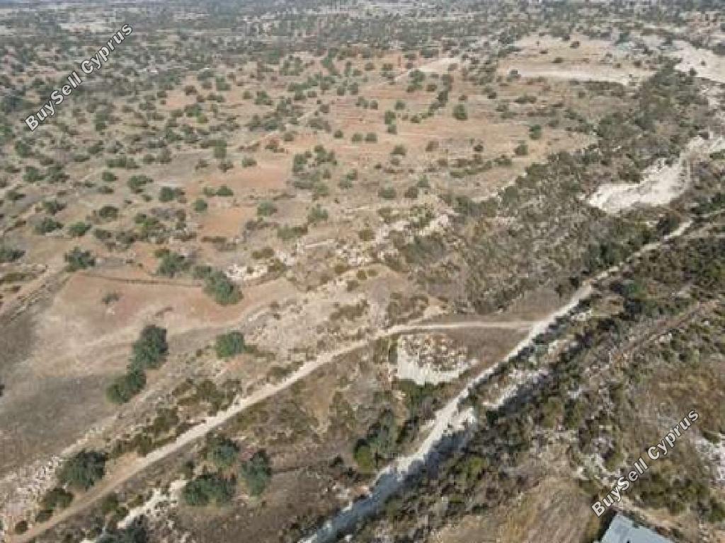 land for sale pachna limassol 7703581 image 17420417