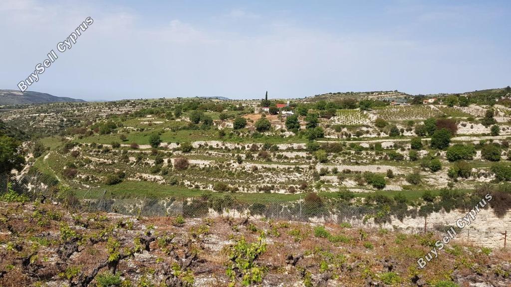 land for sale vasa kilaniou limassol 8785681 image 16656280