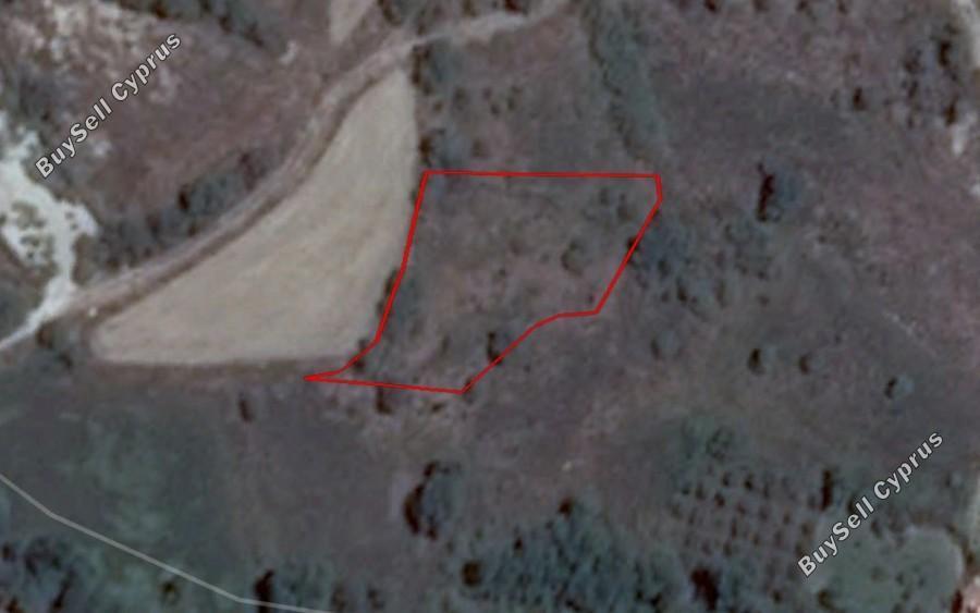 2007 SQM Land for sale in Stroumbi, Paphos 16249084