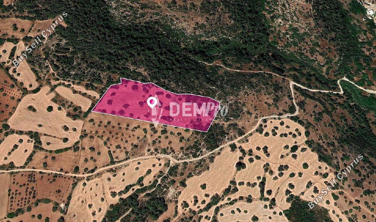 land for sale neo chorio paphos 7812981 image 16239006