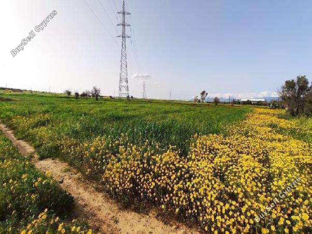 land for sale palaiometocho nicosia 8597981 image 15735679