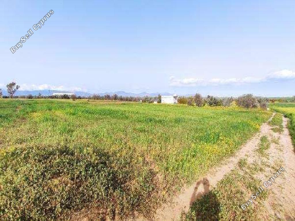 land for sale palaiometocho nicosia 8597981 image 15735682