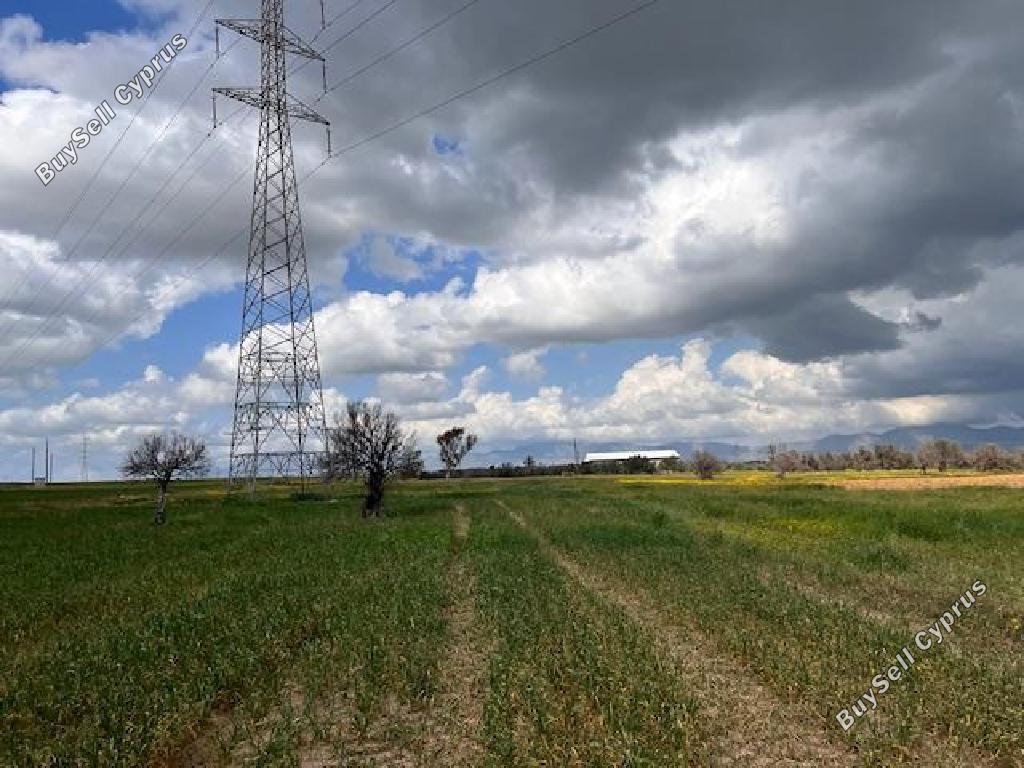 land for sale palaiometocho nicosia 8597981 image 15735686