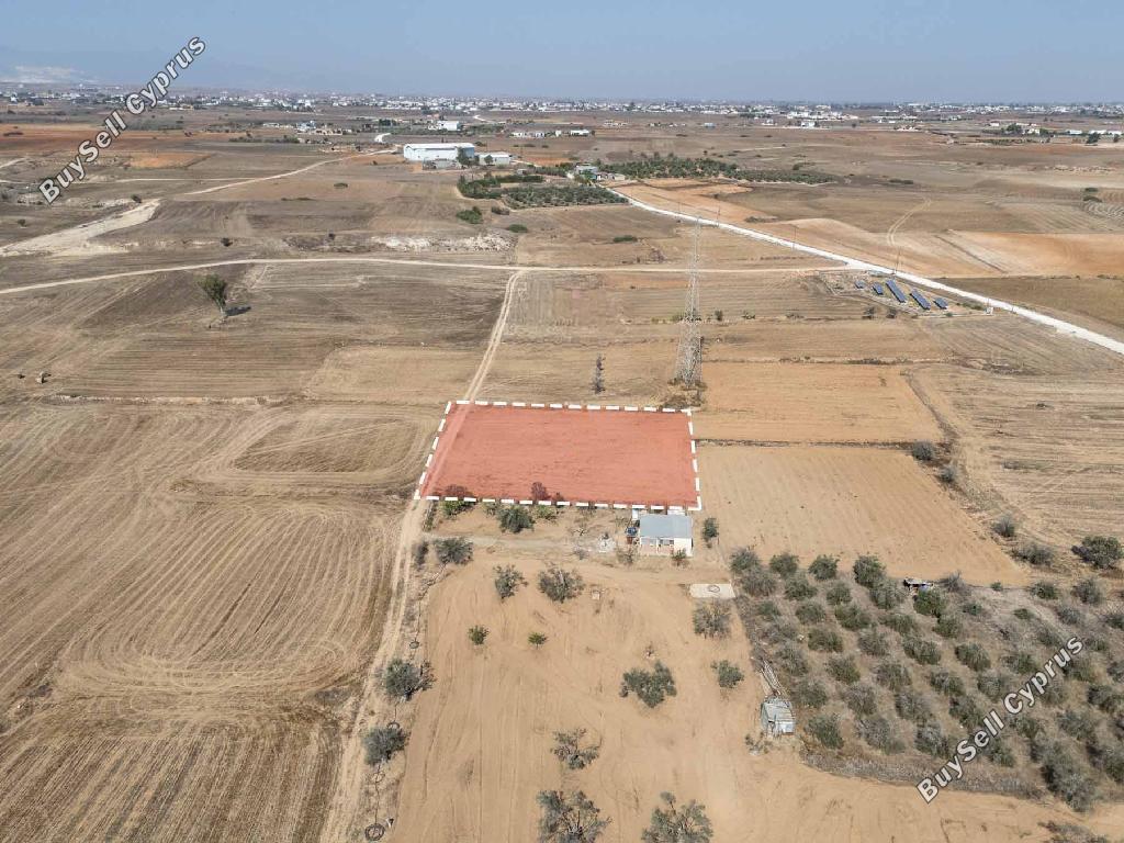land for sale palaiometocho nicosia 8597981 image 15735694
