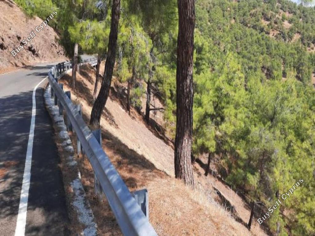 land for sale pigenia nicosia 945981 image 7641761