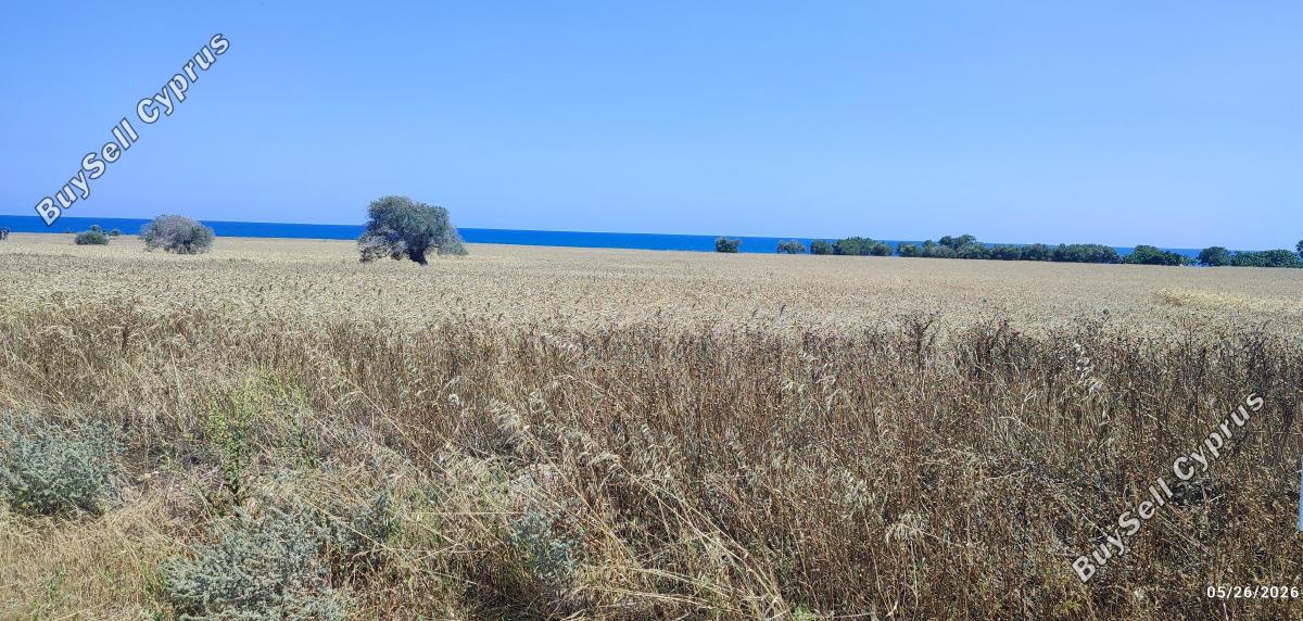 8174 SQM Land for sale in Mazotos, Larnaca 16242911