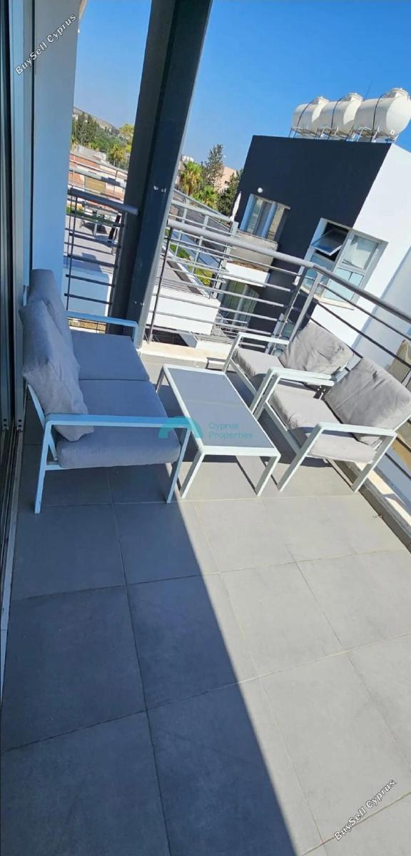 2 bedroom apartment for rent geroskipou paphos 8936091 image 17632964