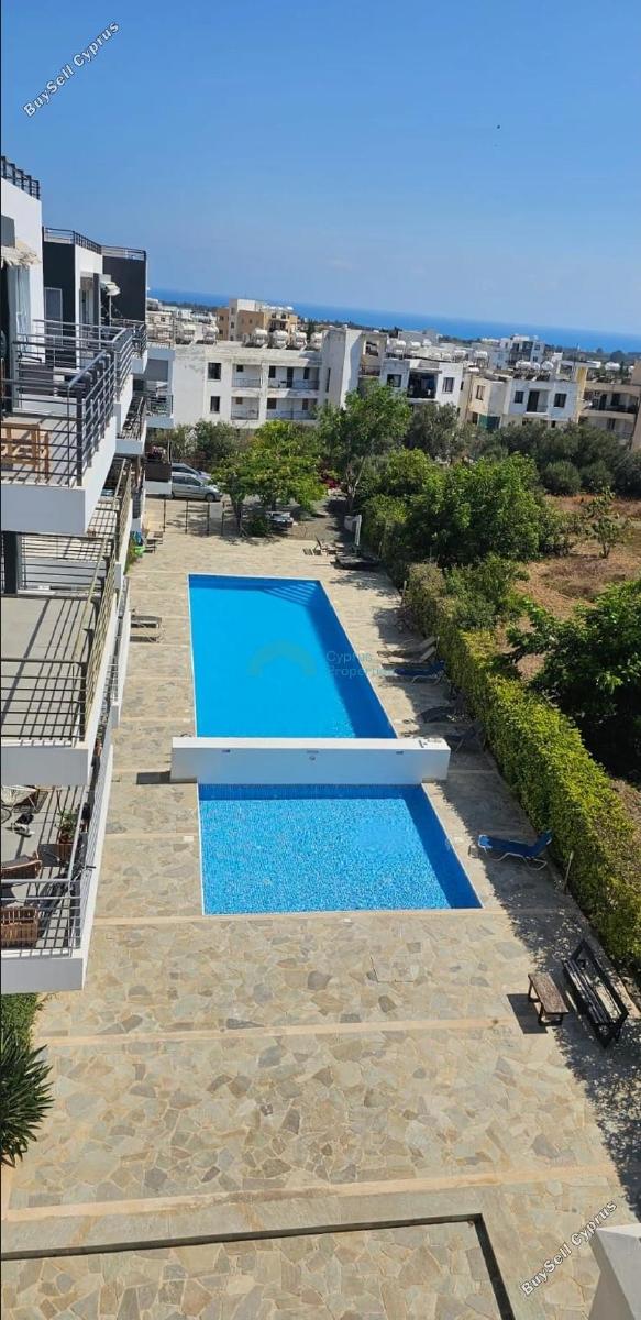 2 bedroom apartment for rent geroskipou paphos 8936091 image 17632982