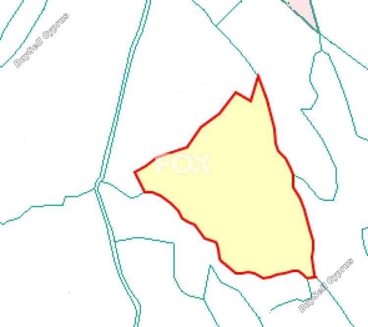 5853 SQM Land for sale in Agia Varvara, Paphos 5517417
