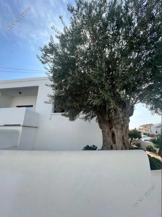studio commercial building for rent kapsalos limassol 1927091 image 7540663