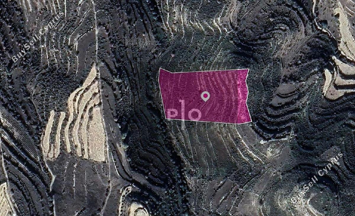 land for sale pachna limassol 8275191 image 15158191