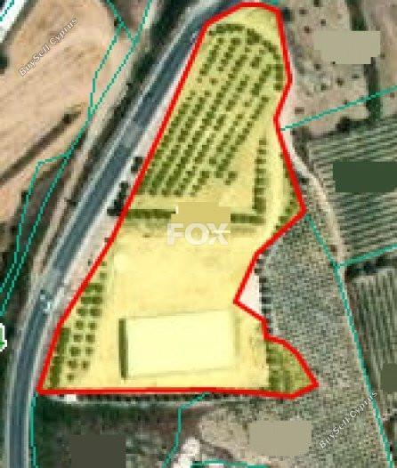 land for sale theletra paphos 1159191 image 5519200