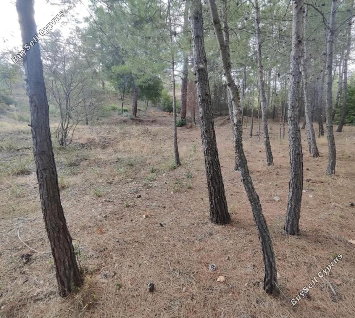 plot for sale pano platres limassol 8936191 image 17832917