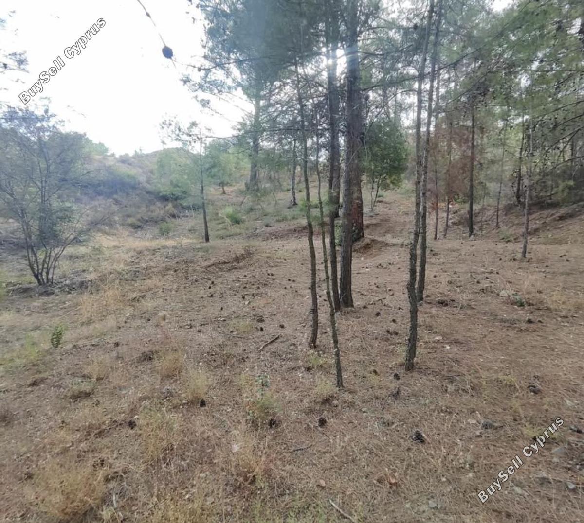 plot for sale pano platres limassol 8936191 image 17832920