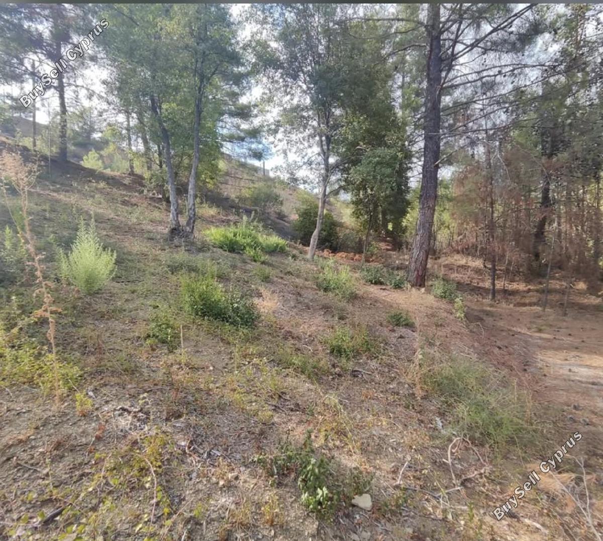 plot for sale pano platres limassol 8936191 image 17832921
