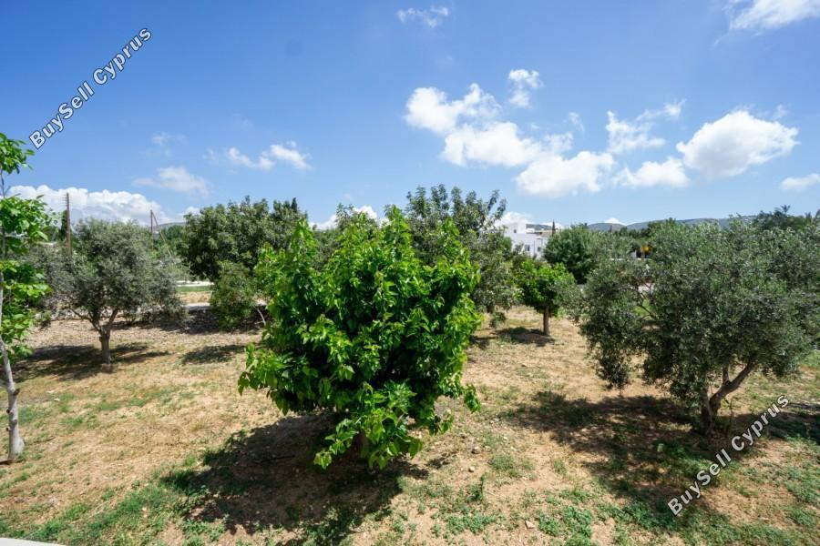 2 bedroom apartment for sale mesogi paphos 8869291 image 17195530