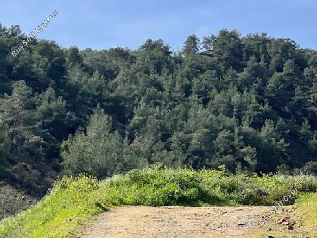 land for sale palaichori morfou nicosia 8140391 image 13393266