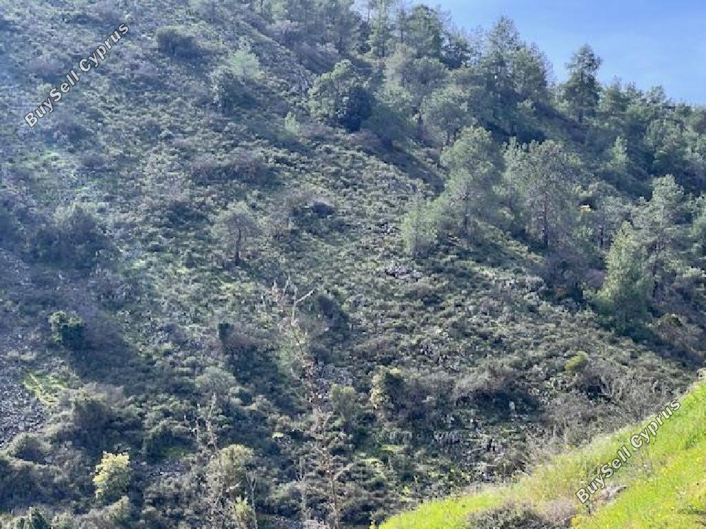 land for sale palaichori morfou nicosia 8140391 image 13393270