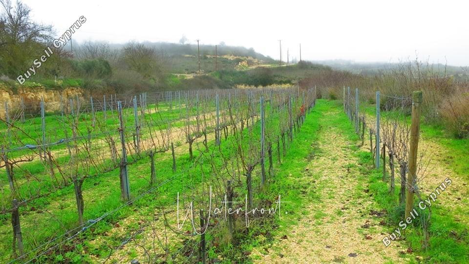 land for sale pano arodes paphos 8959391 image 17781158