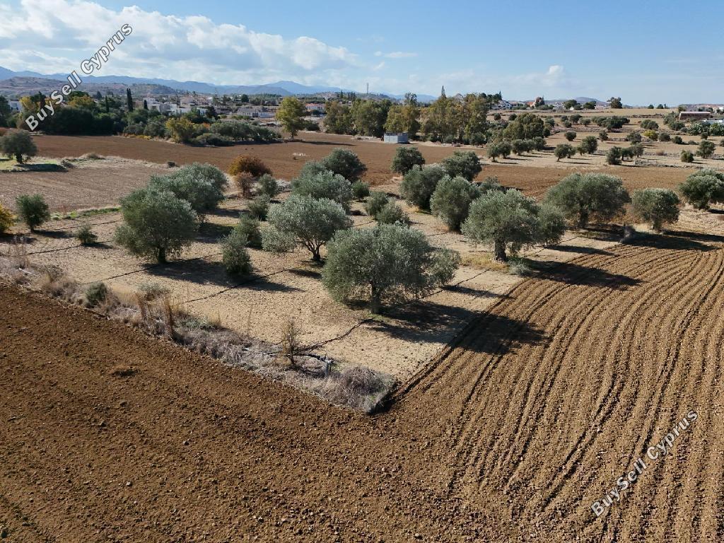 land for sale pera orinis nicosia 946391 image 7318789