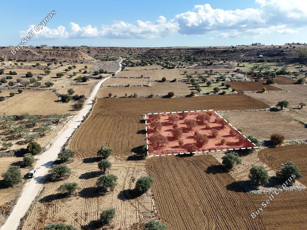land for sale pera orinis nicosia 946391 image 7318790