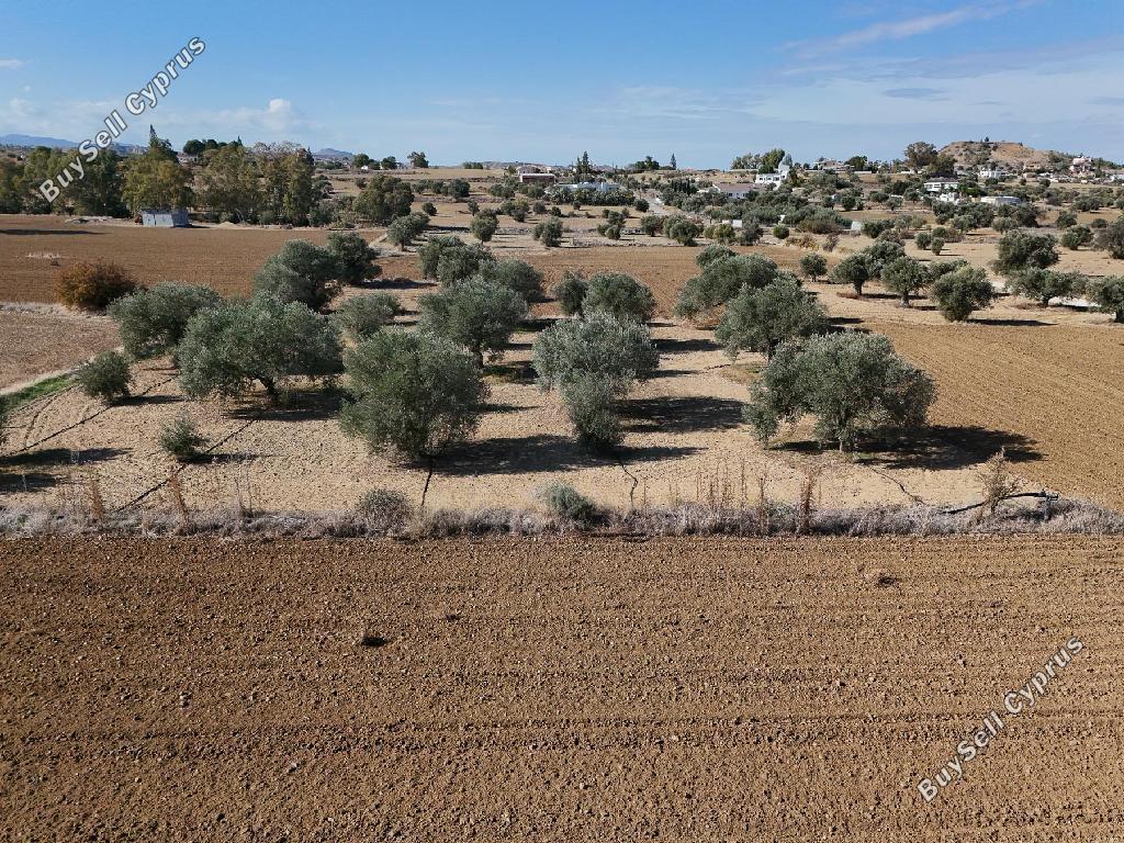 land for sale pera orinis nicosia 946391 image 7318792