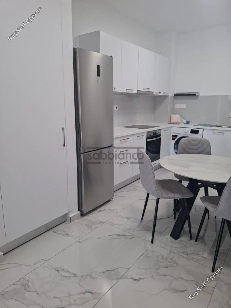 2 bedroom apartment for rent ypsonas limassol 8966491 image 18132410