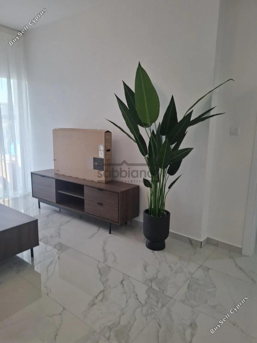 2 bedroom apartment for rent ypsonas limassol 8966491 image 18132413