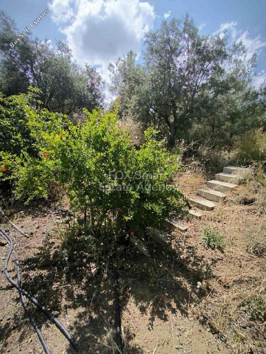 2 bedroom detached house for sale lythrodontas nicosia 1525491 image 5198921