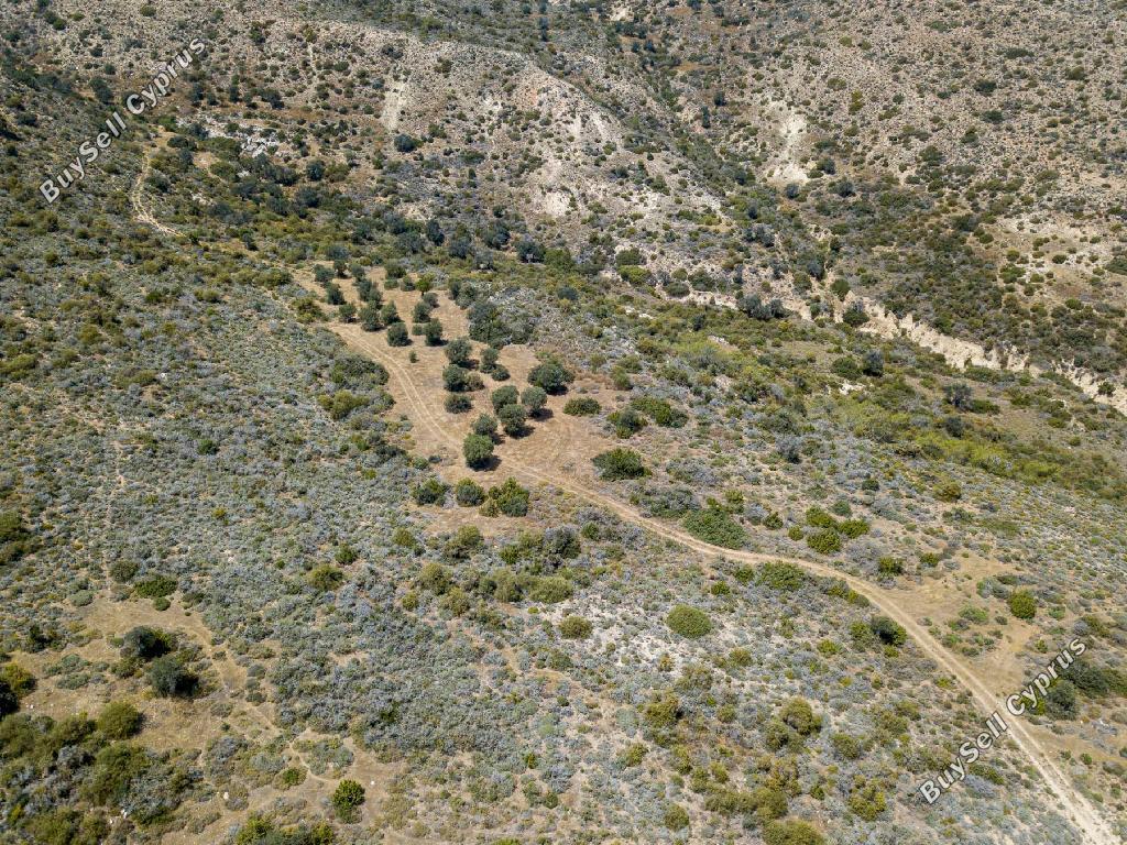 land for sale pissouri limassol 1041491 image 15602139