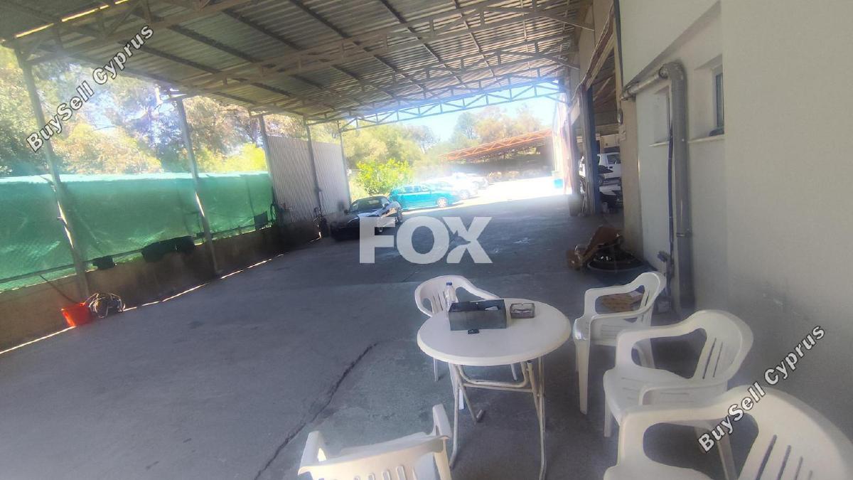 studio warehouse for rent ypsonas limassol 8758491 image 16551041