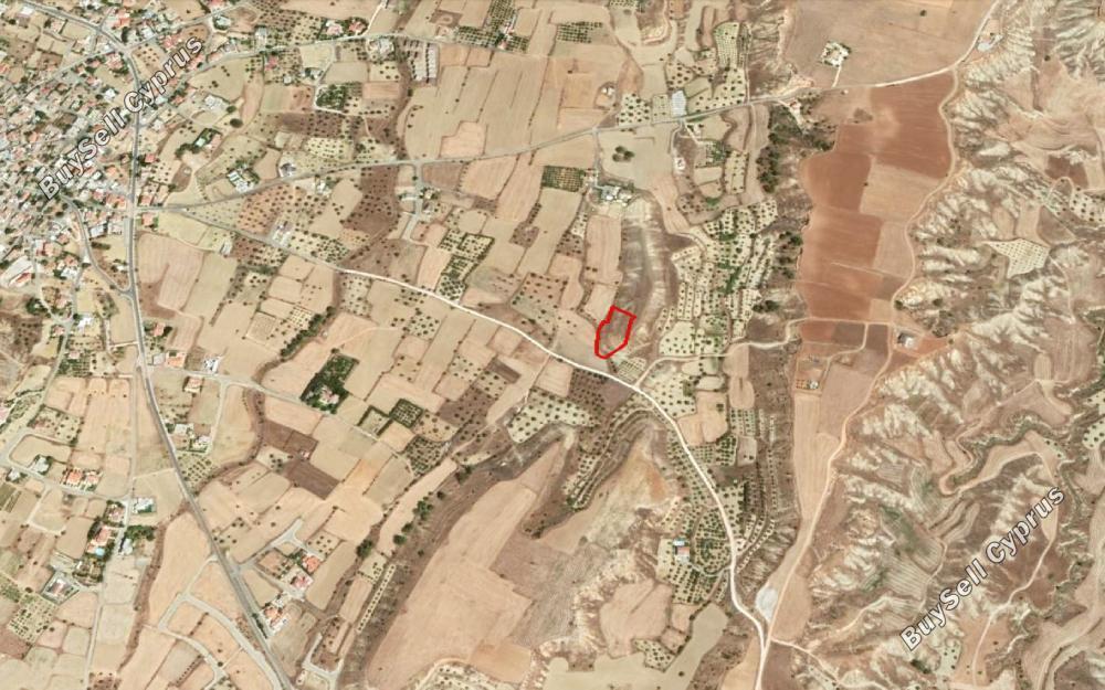 land for sale pera orinis nicosia 830591 image 6570715