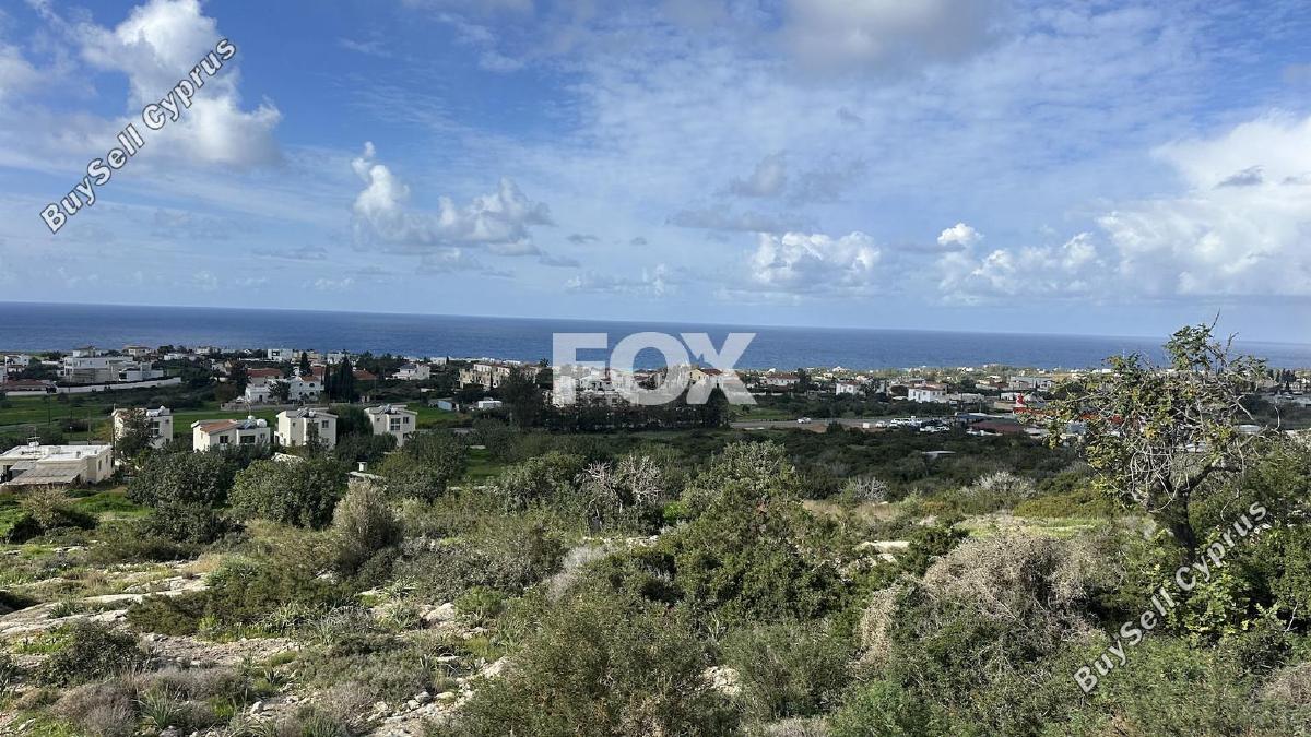 land for sale peyia paphos 8219591 image 13737107