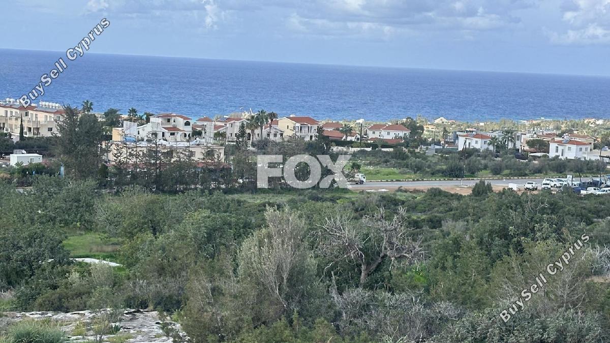 land for sale peyia paphos 8219591 image 13737111