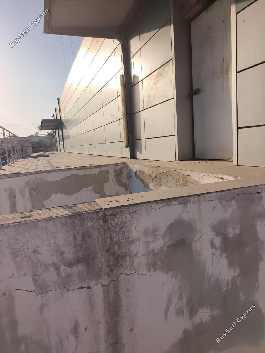 studio commercial building for sale ormideia larnaca 8844591 image 17080258