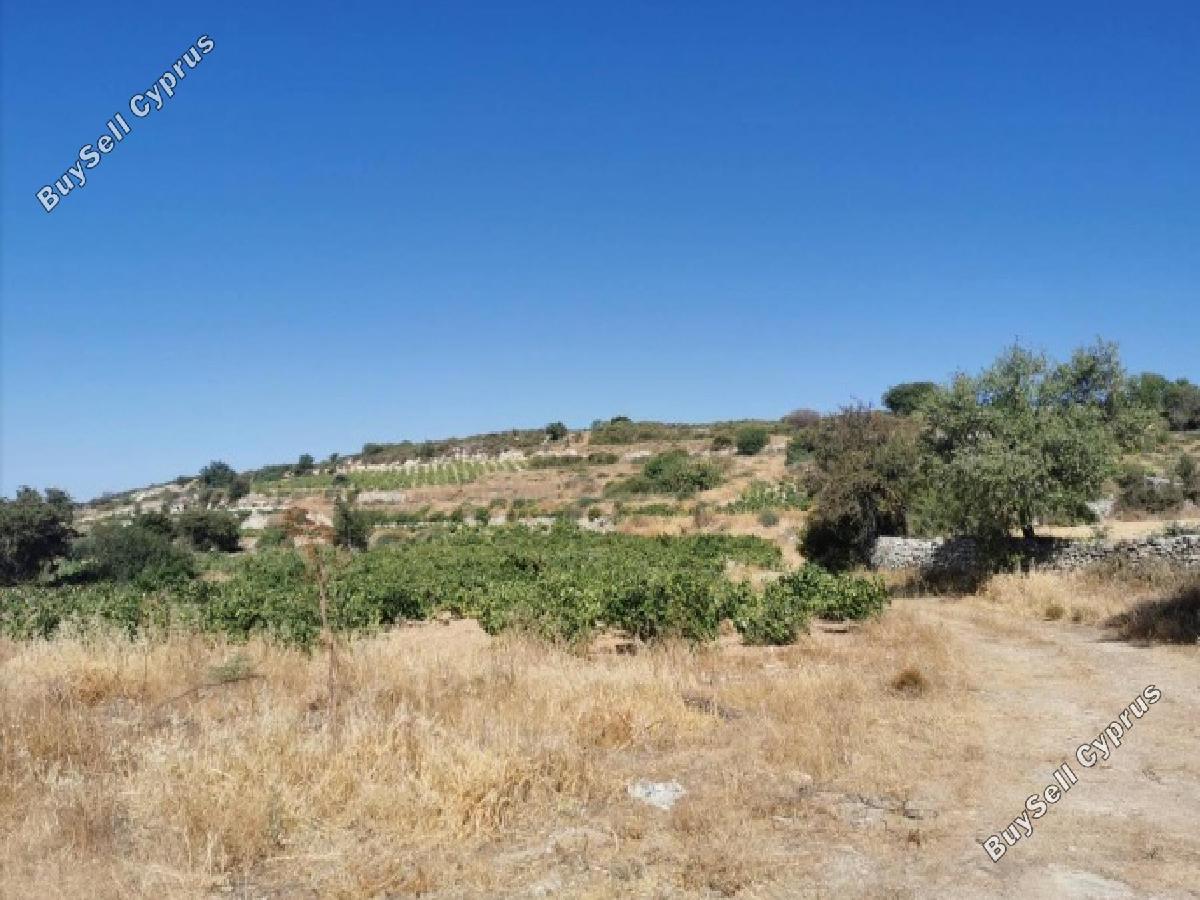 4348 SQM Land for sale in Pachna, Limassol 16333364